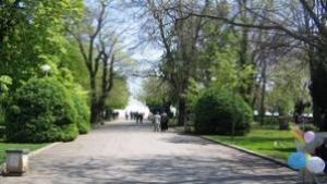 Кино Златна котва