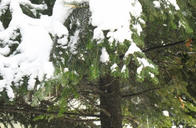 Облачно, с валежи