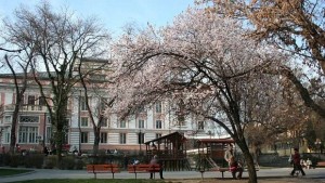 Стара Загора води в читателската класация за найдобър град