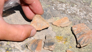 Българите адекватни на маите