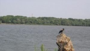 Русенци спечелиха награди от фотоконкурс за река Дунав