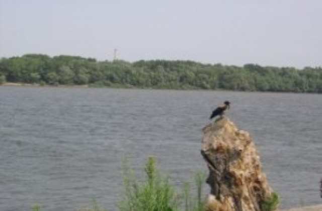 Русенци спечелиха награди от фотоконкурс за река Дунав