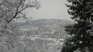 Почистването на общината продължава