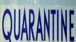 Общо 72 училища и детски градини в Пловдивско под карантина