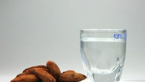 С водка и сельодка в Мол Варна посрещат руската нова