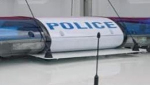 Дървосекач от Дуловско е загинал нелепо