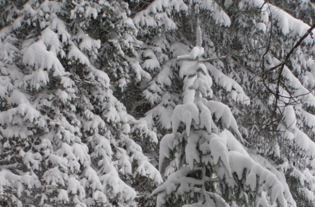 Увеличаване на облачността