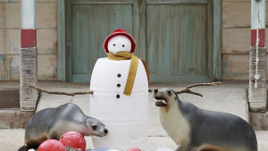 Снежният човек от страшилище до весел приятел на децата