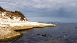 Япония започва да добива нов вид енергоносител на морското дъно