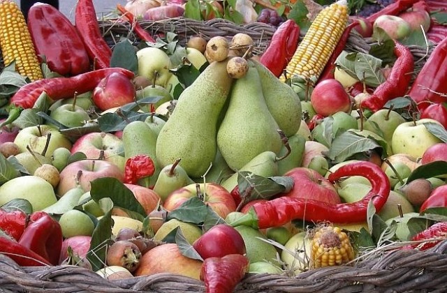 Повече плодове и зеленчуци за укрепване на имунитета