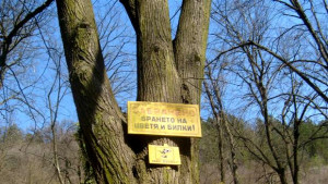 Съкратен е срокът за представяне на отчетите за билки