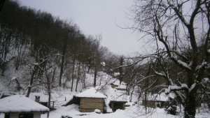 Успешна 2011та отчитат от АЕК Етър