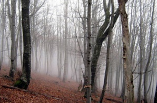 Снимка на Врачански балкан спечели конкурс