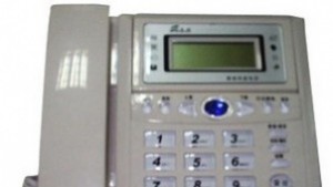 Намерен е бял лабрадор