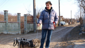 Ферма край Варна спасява четириноги в беда