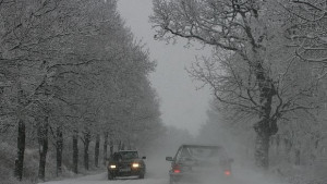 Пътна обстановка в Русенско