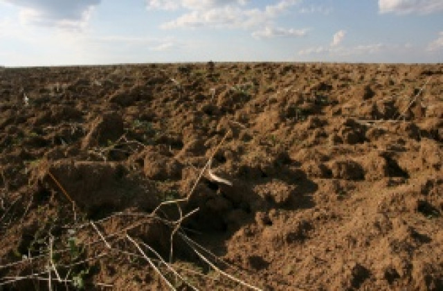 Пазарът на земеделски земи остава стабилен и тази година