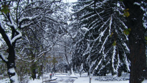 Студено и ветровито