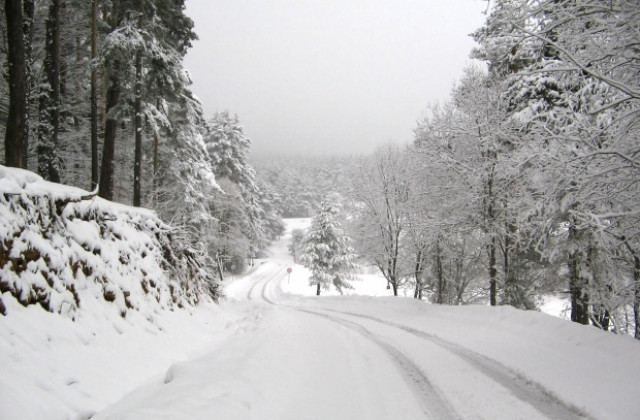 11 автомобили обхождат и обработват пътищата в областта