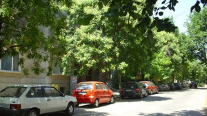 Обсъждат безопасността по пътищата