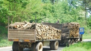 Откриха незаконна дървесина във влекач