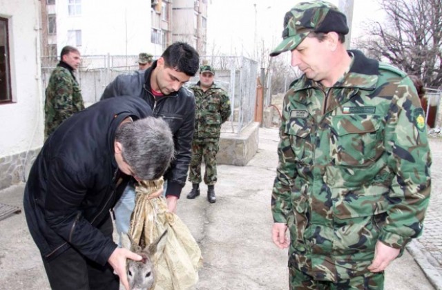 Спасиха сръндак със счупен крак във военно поделение в Стара Загора