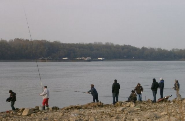 Забраняват улова на есетрови риби в река Дунав