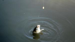 Въведоха забрани за риболов