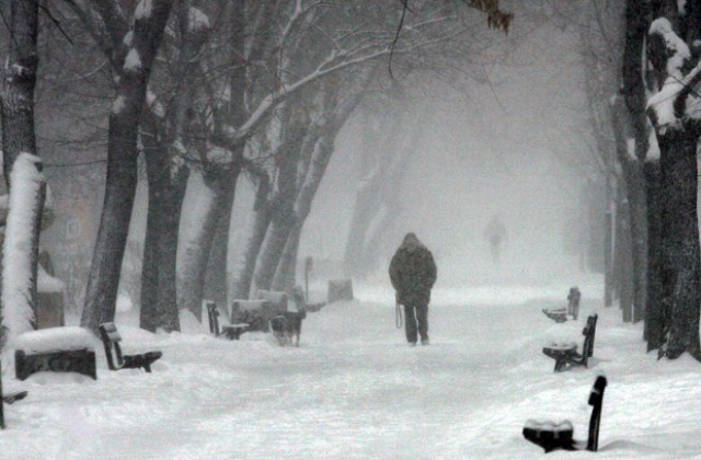 Валежи в цялата страна