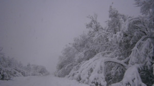 Пътищата в региона са проходими