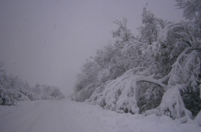 Пътищата в региона са проходими