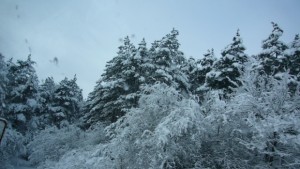 Движението в областта при зимни условия