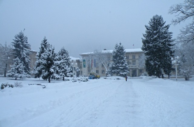 Обстановката в Област Враца