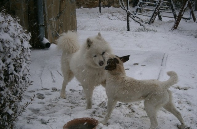 Снеговалежът постепенно спира