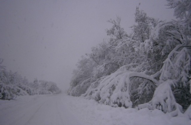 Затвориха автомагистрала Хемус и пътя Варна- Добрич