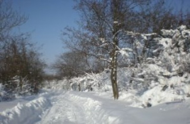 Линейка и кола с родилка в капана на зимата в област Ямбол