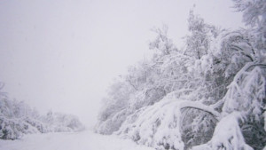Блокирани пътищата до три селища в Силистренско