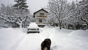 Ниски температури и чести превалявания в началото на февруари