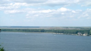Забраниха улова на есетра в Дунав