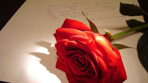 Община Силистра организира конкурс за стихотворение за 14 февруари