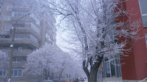 Следващите три дни от утре са неучебни за силистренските ученици