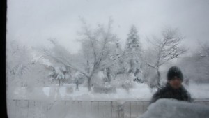 Какво да правим в студеното време