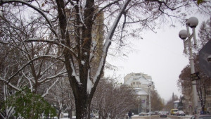 В 49 училища днес не се учи от утре дървена