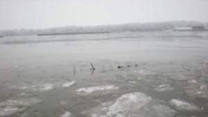 Ледоход край Русе температурата падна до 198