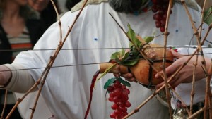 Църквата почита паметта на Свети Трифон