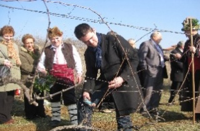 Православната църква почита паметта на Свети мъченик Трифон