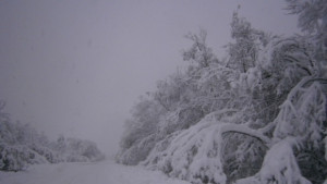 Ниски температури и днес