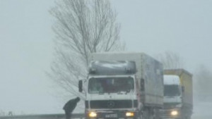 Отново пускат тировете към Дунав мост