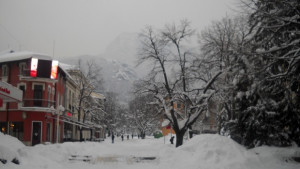 Внимание поледици