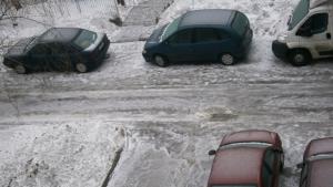 Внимание поледица